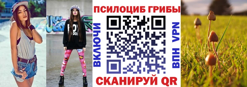 Купить  Андреаполь  Галлюциногенные грибы GOLDEN TEACHER 